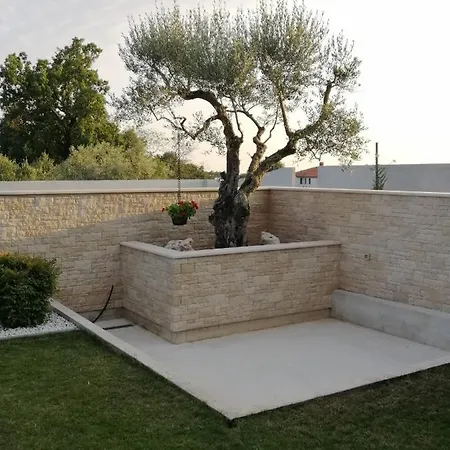 فيلة Roza أوماغ