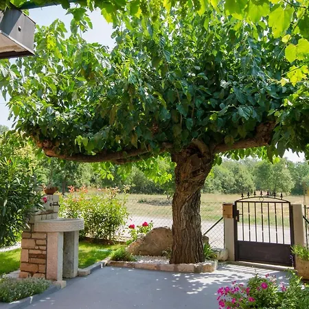 Villa Roza *