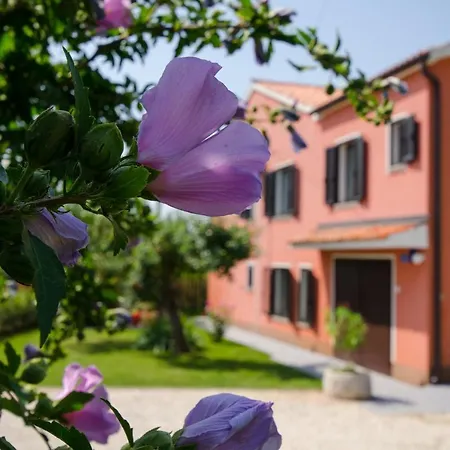 Villa Roza